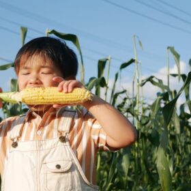 福岡県うきは市の農園ハミングファーム