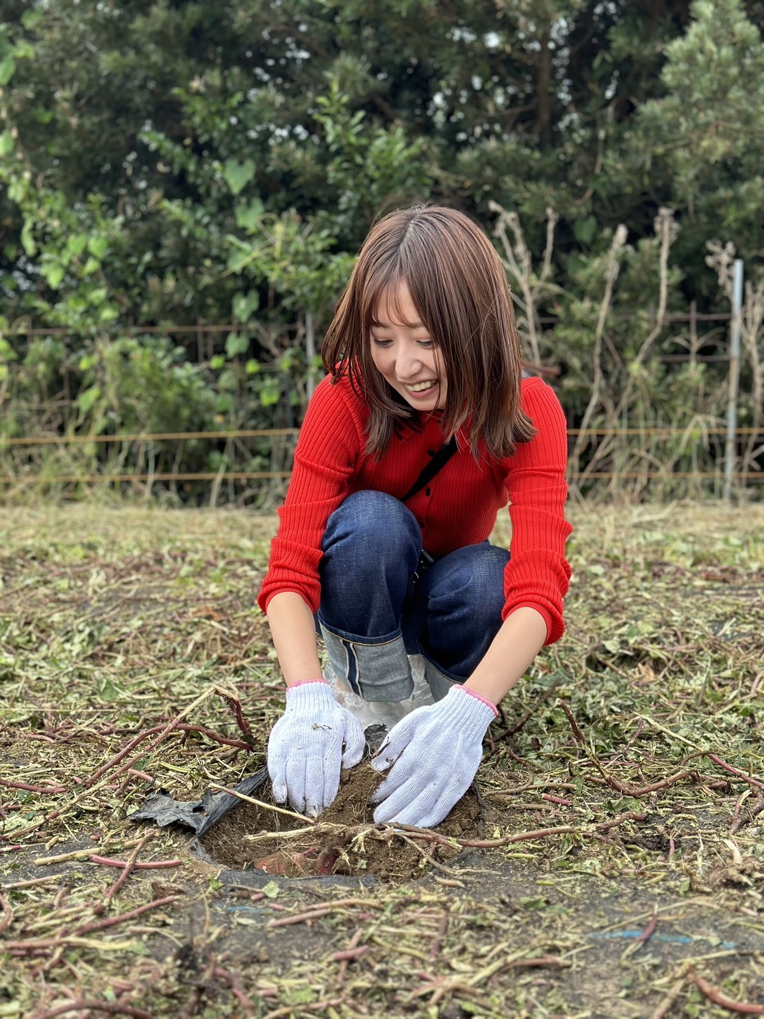 福岡県うきは市の農園ハミングファーム